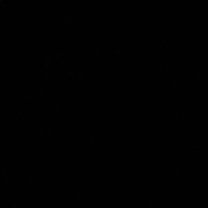 Meet your Posher, Mia